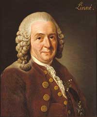 Carl Von Linné