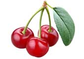 Cereja