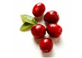 Cranberries